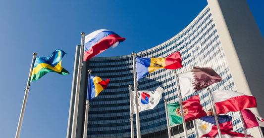 Fiscalité des organisations internationales : pourquoi les fonctionnaires ONU ne paient pas d'impôts et ce que ça signifie pour les expatriés en 2026