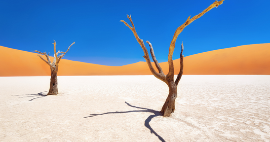 Paraguay ou Namibie en 2026 : deux territorialités à 0 %, deux réalités d'accès