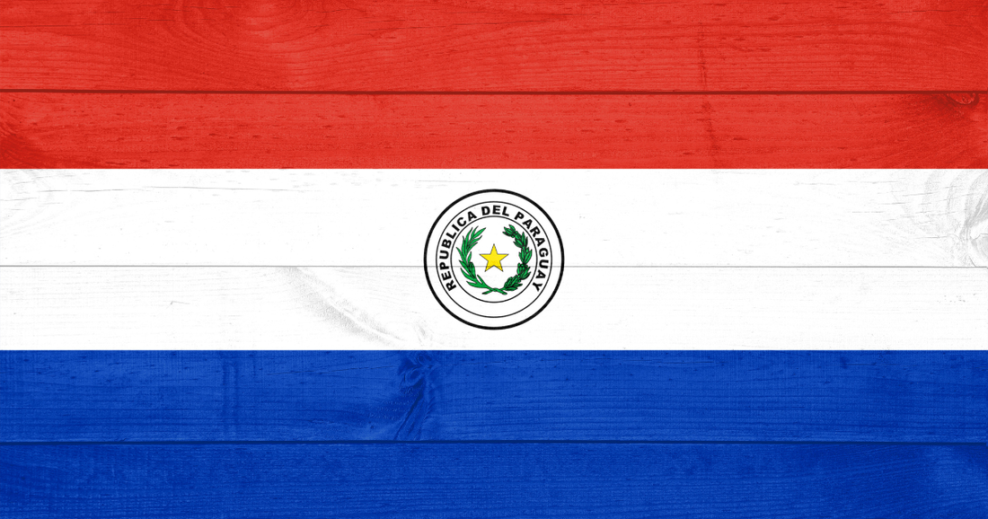 Expatrié avec enfant handicapé au Paraguay : droits, aides et scolarisation en 2026