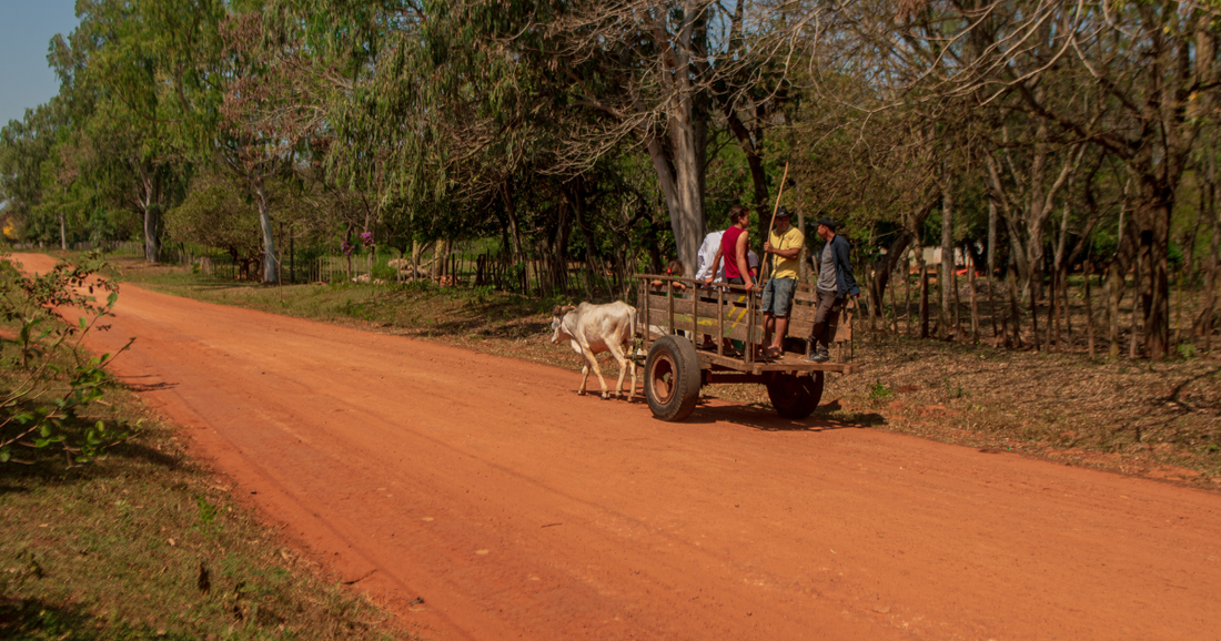 Tourisme d'aventure au Paraguay : Chaco, Pantanal et observation animalière