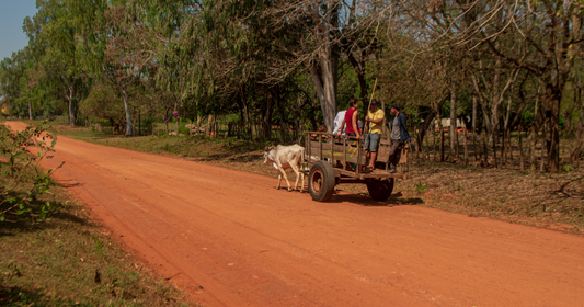 Tourisme d'aventure au Paraguay : Chaco, Pantanal et observation animalière